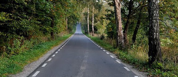 Drogi w gminach Markusy, Tolkmicko, Milejewo i Rychliki czeka przebudowa