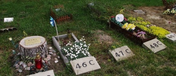 Maria Kosecka zwraca uwagę na brak cmentarza dla zwierząt