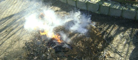 Nie można spalać odpadów roślinnych w ogrodzie czy na działce!