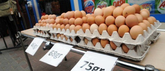 Co my właściwie wiemy o jajkach? A wiedzieć warto