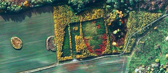 Zielony herb Elbląga widziany z satelity