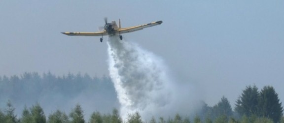 Ogromny pożar zboża i lasu w gminie Pieniężno. Zobacz video z akcji