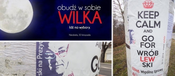 „Obudź w sobie Wilka” i „Keep calm and go for Wróblewski” czyli kampania dla młodych