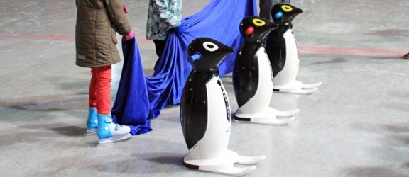 Pingwiny z lodowiska mają już swoje imiona
