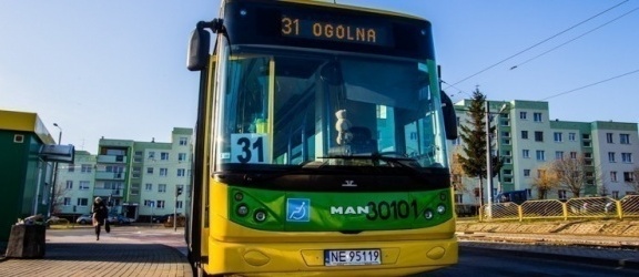 Autobus przez Modrzewinę - czy to faktycznie problem?