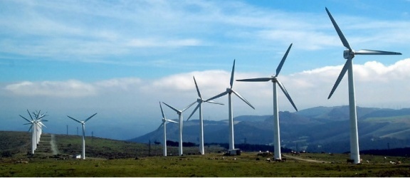 Czy Gronowo Elbląskie wykorzysta potencjał energii wiatru?