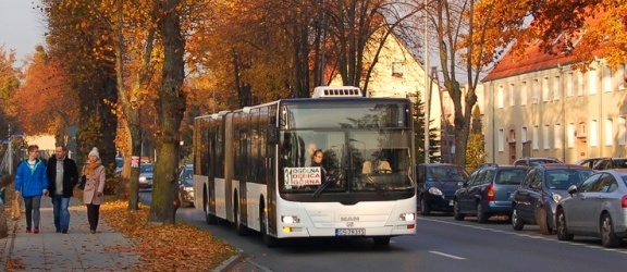 Autobusy hybrydowe bądź przegubowe w Elblągu? „To jednorazowa akcja”