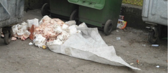 Podrzucili odpady pochodzenia zwierzęcego pod śmietnik