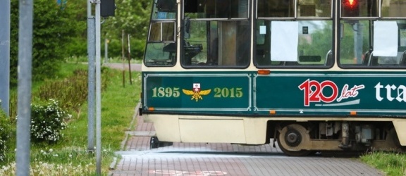 Zostań dyrektorem elbląskich tramwajów