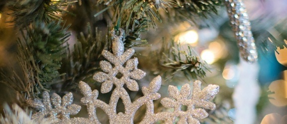 Krótka historia bożonarodzeniowej choinki. Która jest bardziej ekologiczna?