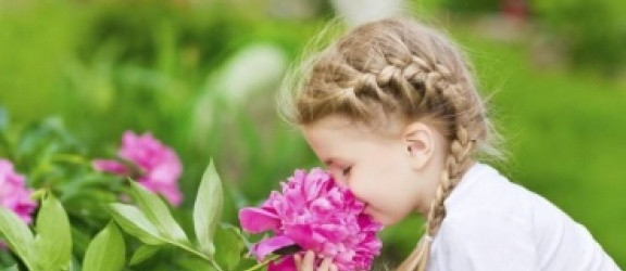 Stwórzmy w Elblągu ogród hortiterapiczny i wypoczywajmy wśród ziół i kwiatów
