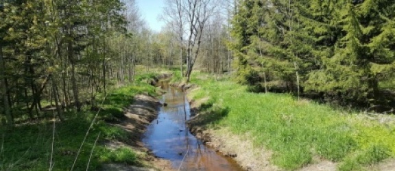Mniej wody w braniewskich rzekach (+ zdjęcia)