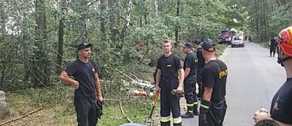 Strażacy z Elbląga usuwali skutki nawałnicy na Pomorzu