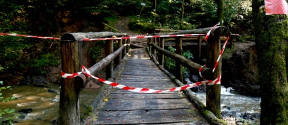 Czerwony szlak w Bażantarni został wyłączony z użytkowania. Ucierpiał m.in. mostek Elewów (+ zdjęcia)