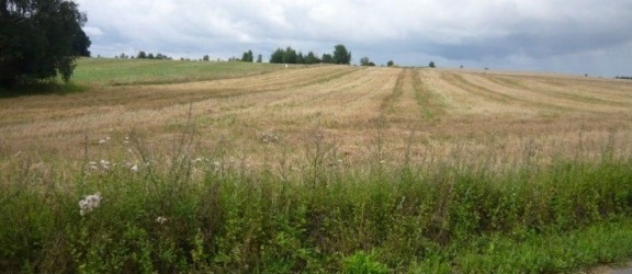 Komunikat dla rolników z terenu Elbląga