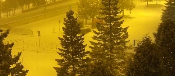 Obejrzyj Elbląg w zimowej szacie w kamerach Elblag.Net 
