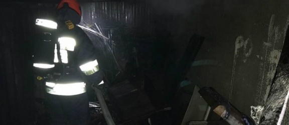 Pożar na elbląskim targowisku. Strażacy uratowali trzy kotki 