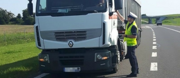 Elbląg: Ciężarówki i kierowcy pod lupą policji 