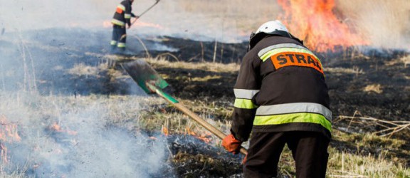 Strażacy z Krzewska walczyli z płonącymi trawami (foto)