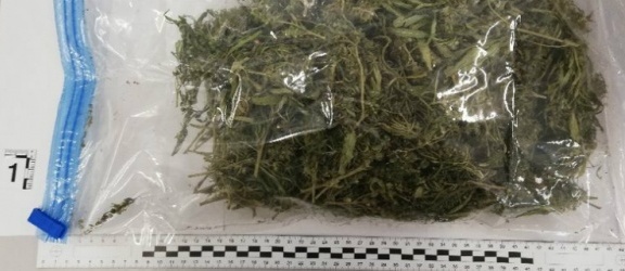 Przesyłka z marihuaną w elbląskiej sortowni paczek 