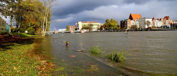 Rośnie poziom wody w rzece Elbląg. Stan ostrzegawczy (+ zdjęcia)