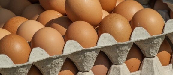 Jajka z salmonellą. Informuje Główny Inspektorat Sanitarny 