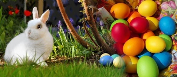 Radosnych, zdrowych, rodzinnych Świąt Wielkanocnych!