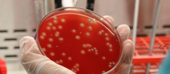 Koronawirus. W Elblągu ponad 1,5 tysiąca zakażonych 