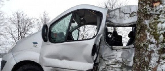 Kierowca Renault Trafic  uderzył w drzewo 