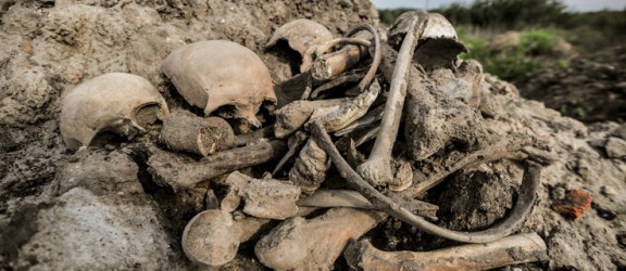 To skandal! Ludzkie szczątki na wysypisku śmieci w Elblągu