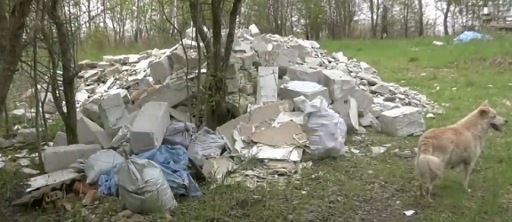 Hałdy śmieci w Bażantarni. Dziennikarz wyznaczył nagrodę