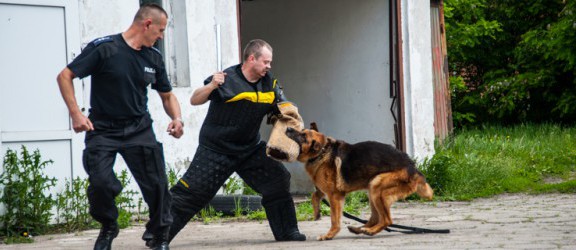 Psy w elbląskiej policji bardzo potrzebne. Fotorelacja