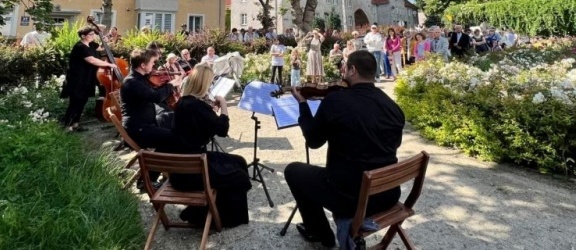 Muzyczny koncert w parku w Elblągu