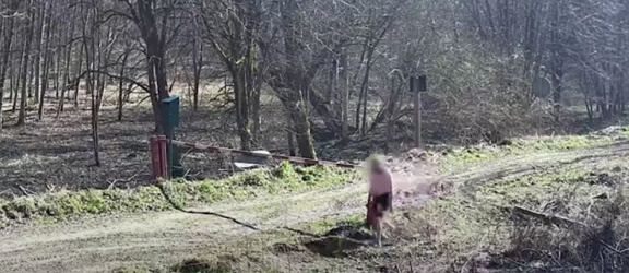 Maraton na pasie zakończył się mandatem