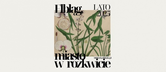 Elbląg, miasto w rozkwicie