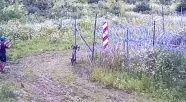 Straż Graniczna przypomina o zasadach obowiązujących w strefie nadgranicznej