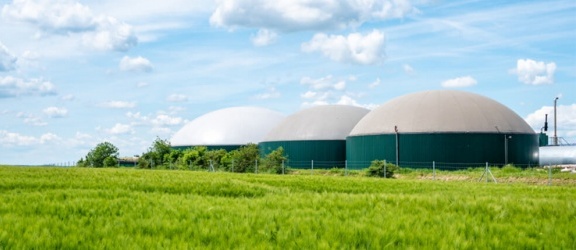 Biogaz czy fotowoltaika – co wybrać?
