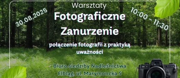 Fotograficzne zanurzenie
