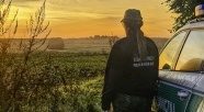 Dołącz do patrolu SG!