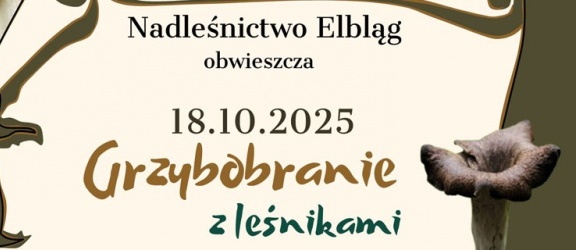 Grzybobranie z Nadleśnictwem Elbląg