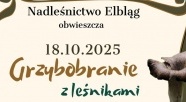 Grzybobranie z Nadleśnictwem Elbląg
