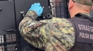 Cudzoziemcy stanowiący zagrożenie dla bezpieczeństwa opuścili Polskę