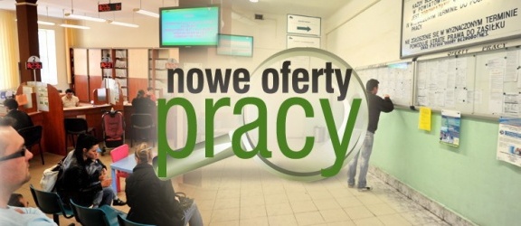 Oferty pracy dostępne w Powiatowym Urzędzie Pracy w Elblągu