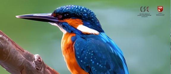 „Ptasi Świat – portrety natury” – wernisaż Piotra Leibnera