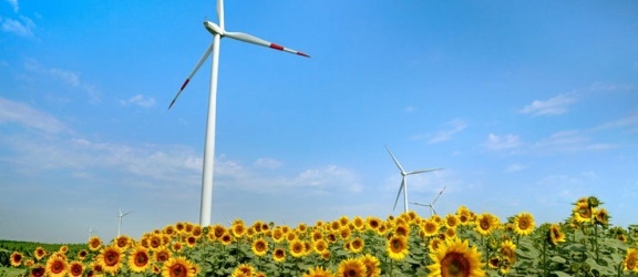 Najbardziej poszukiwane zawody techniczne w dobie transformacji energetycznej