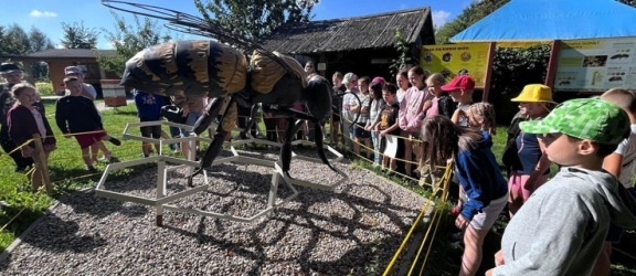 Zapisz dziecko na półkolonię