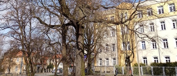 U zbiegu ulic Browarnej i Robotniczej powstanie park kieszonkowy
