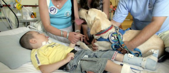 Psi terapeuci odwiedzą dzieci w Słonecznym Klubie Mam
