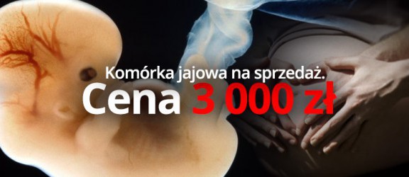 Oferta pracy w Elblągu: 3 tys. za sprzedaż komórek jajowych